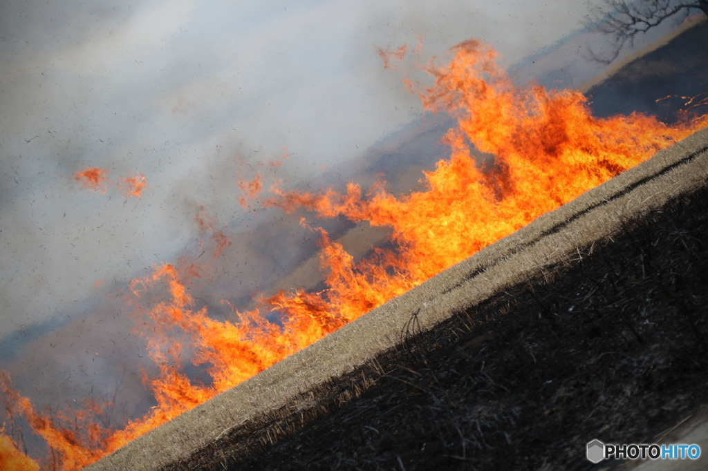 crazy fire