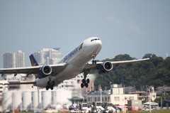 SKYMARK