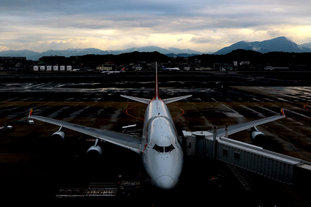 ジャンボ・・・かっこいいな///