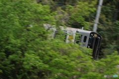 緑の中を走り抜けてく…