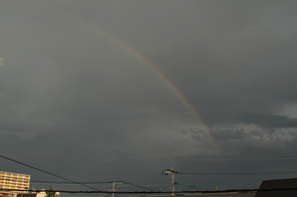 また虹っ！！！