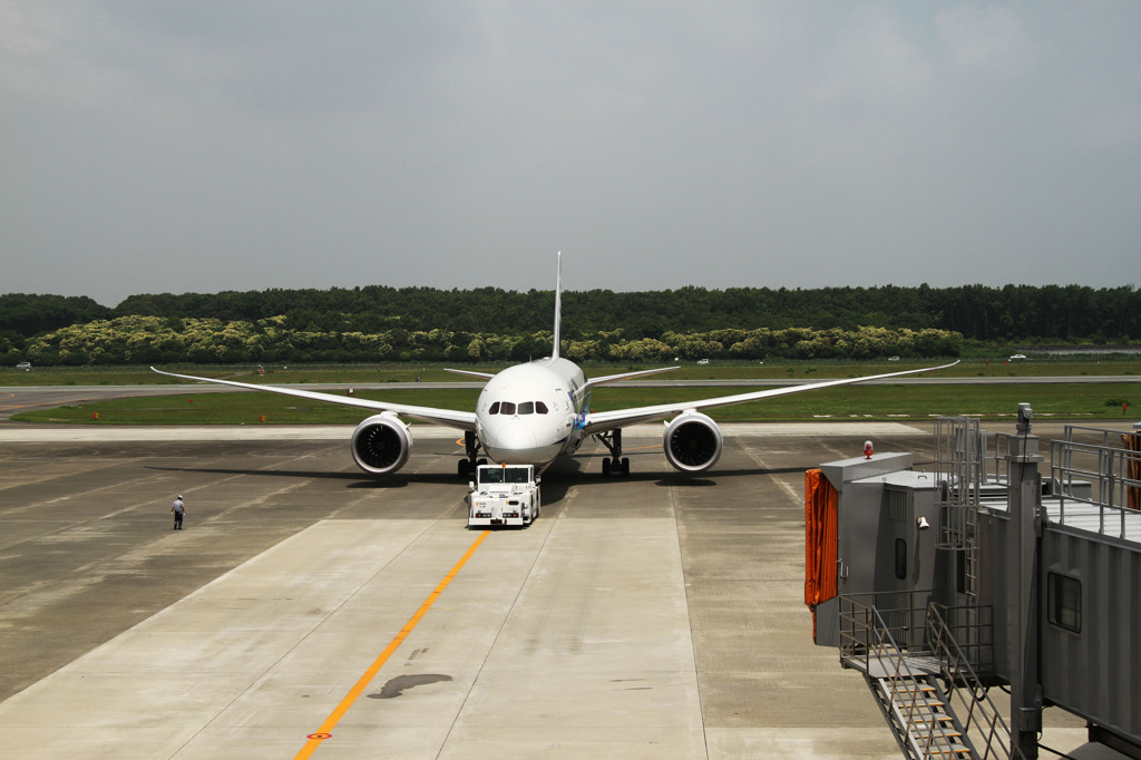 熊本空港 ７８７