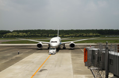 熊本空港 ７８７