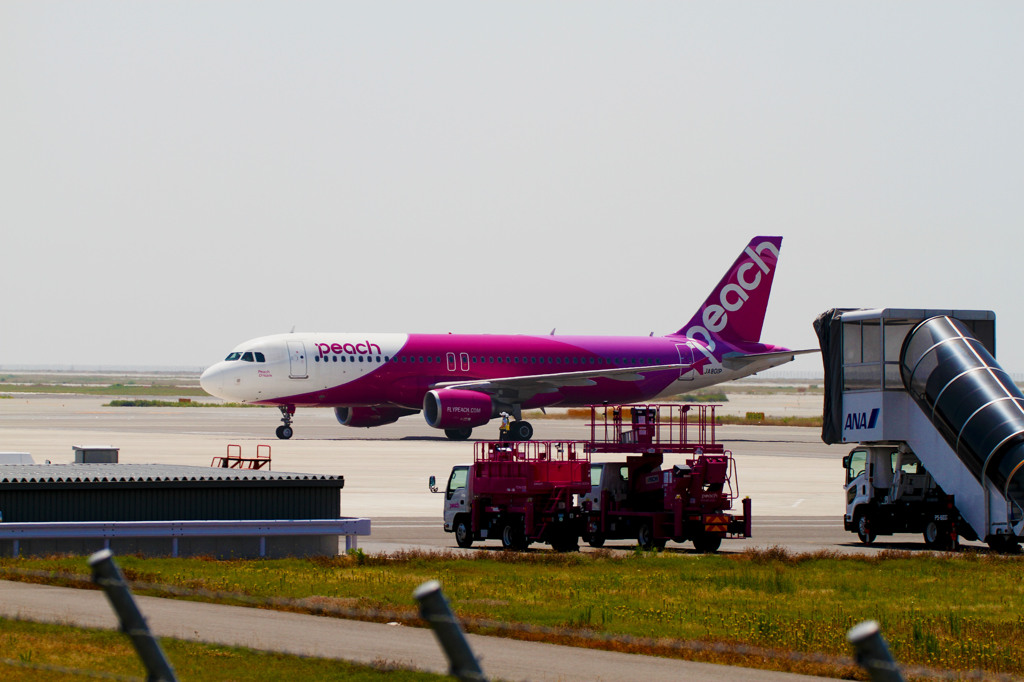 関空peach（改）