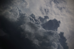 雨の予感・・・