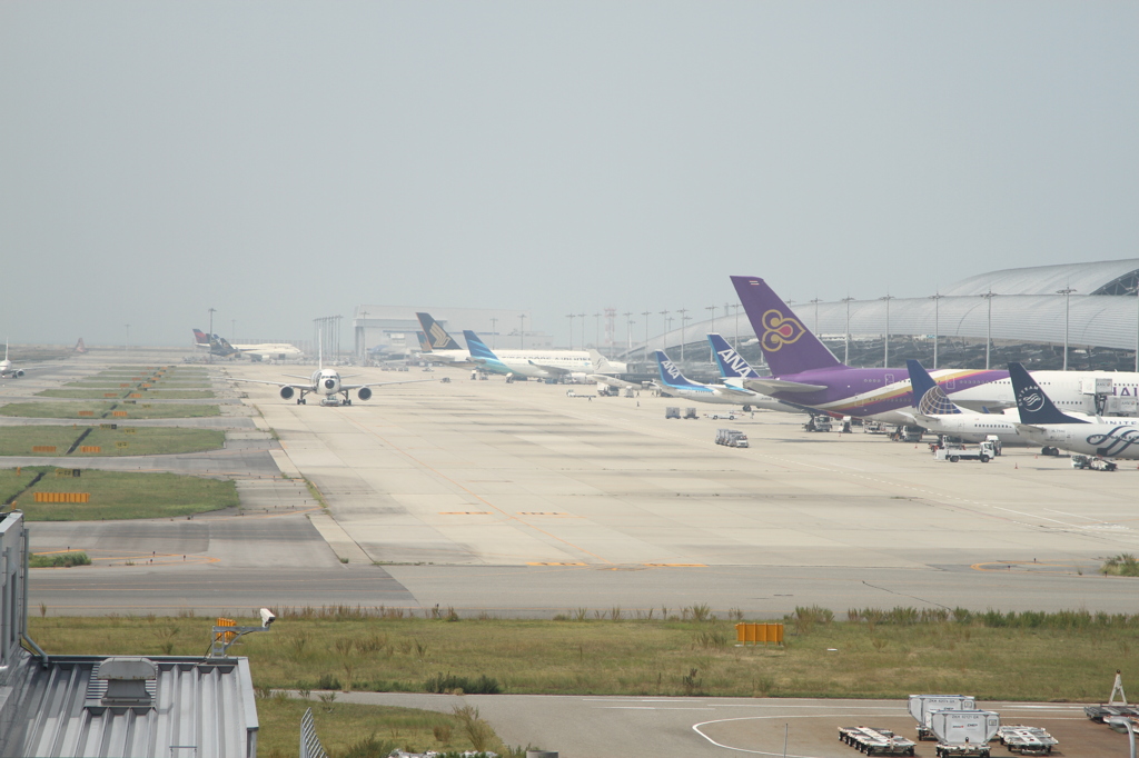 ぱんだじぇっと