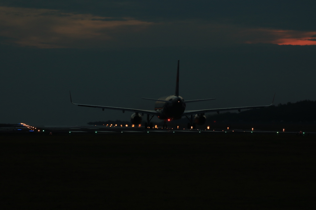 今日は無理だった・・・