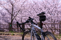 満開
