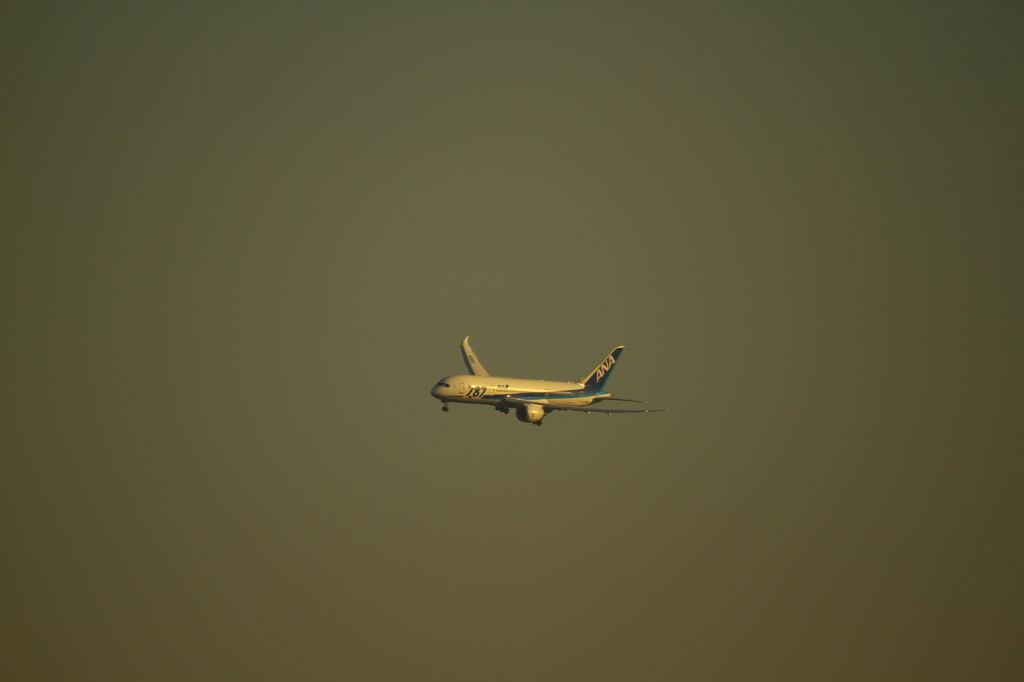 福岡空港  旋回！