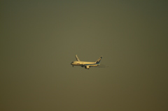 福岡空港  旋回！