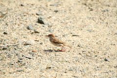 おっとっと--；