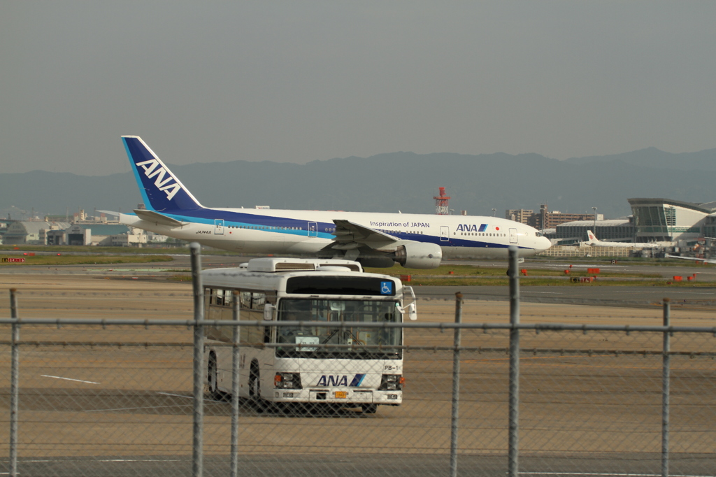 競演