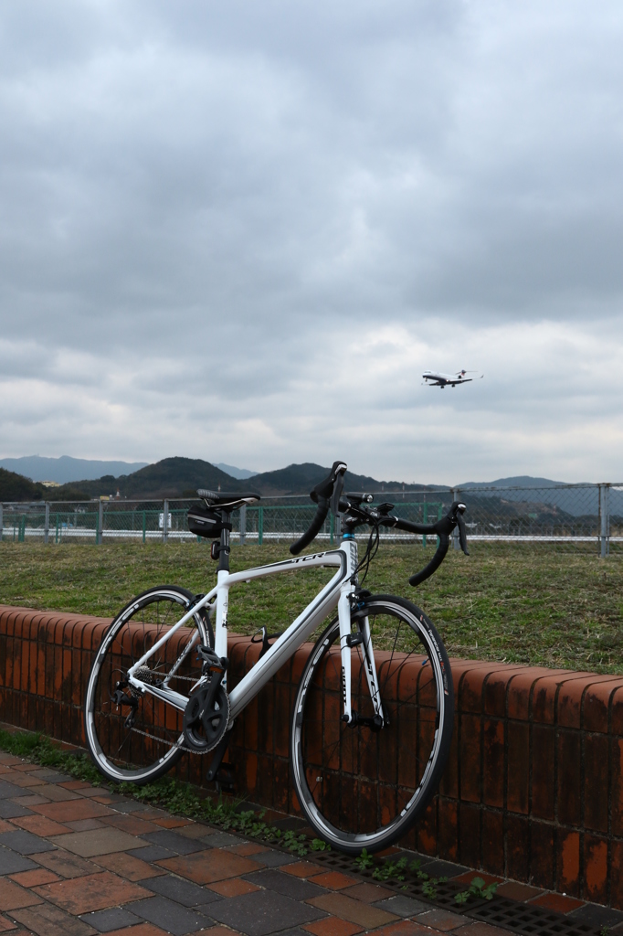 ＧＩＡＮＴ　ＴＣＲ０