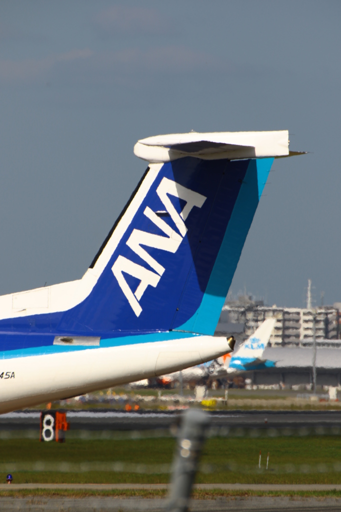 ボンちゃん 尾翼