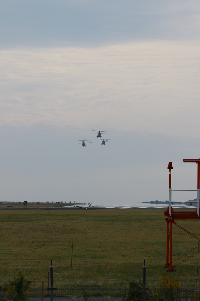 仲良し三兄弟♪