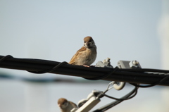 こっち見んなよ。