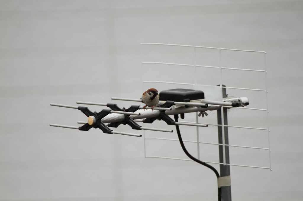 誰もいないな・・・--；