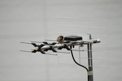 誰もいないな・・・--；