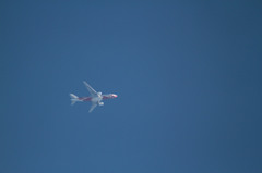 空港に行かなくても撮れるっ！   air china 特別塗装機