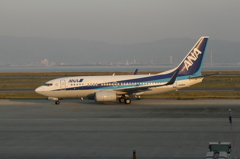 夕日に照らされて