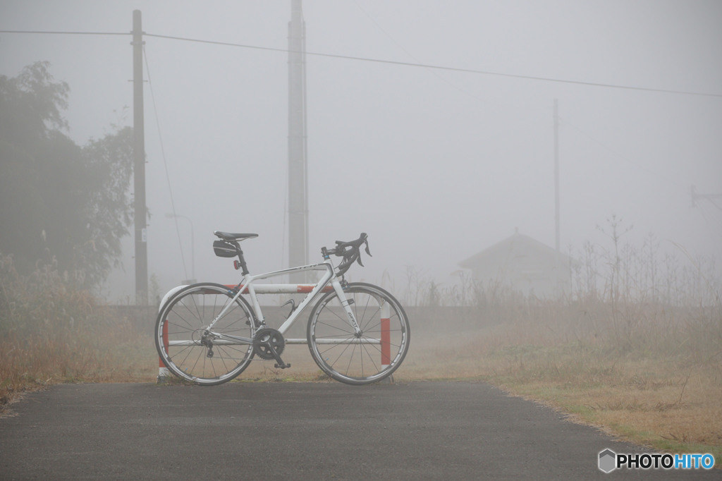 朝霧サイクリング
