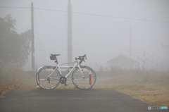 朝霧サイクリング