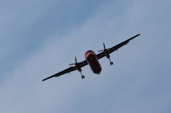 サハリン航空飛来
