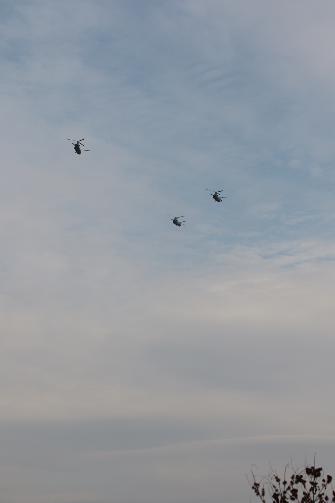 仲良し三兄弟♪ ２