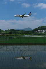 ２機？