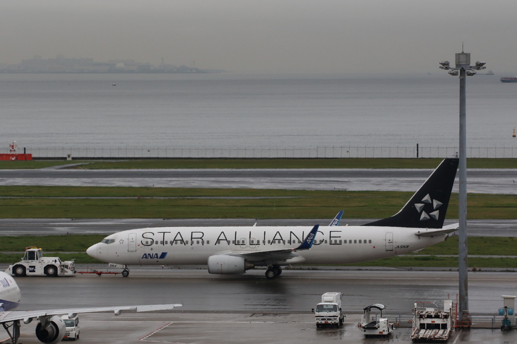 B737　スタアラ