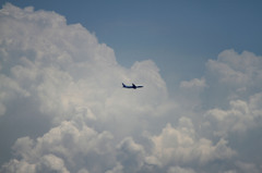 真夏  実は飛行機がもう一機写っています＾＾