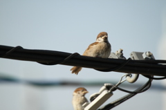 疲れた・・・--；