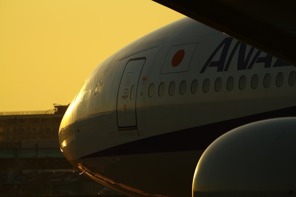 ANA