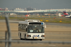 ANAバス