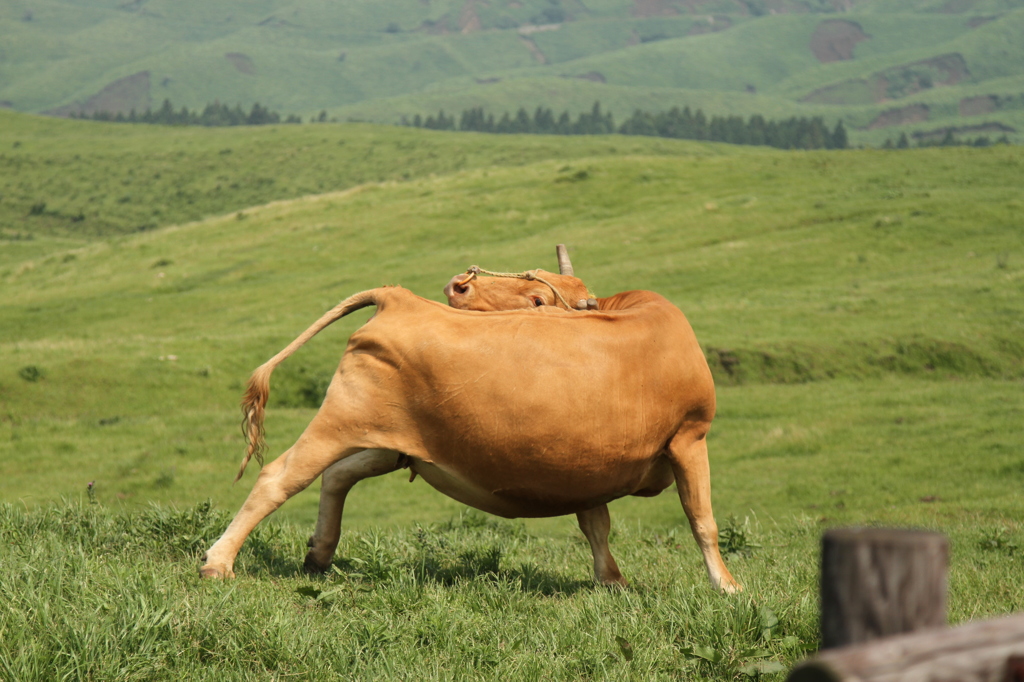 どうした？？？？？？