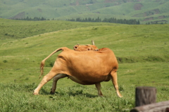 どうした？？？？？？