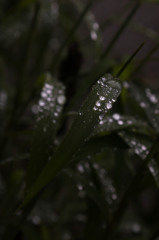 台風の過ぎ去った後・・・