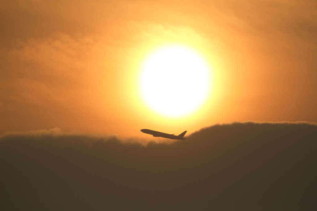 伊丹空港   夕日takeoff