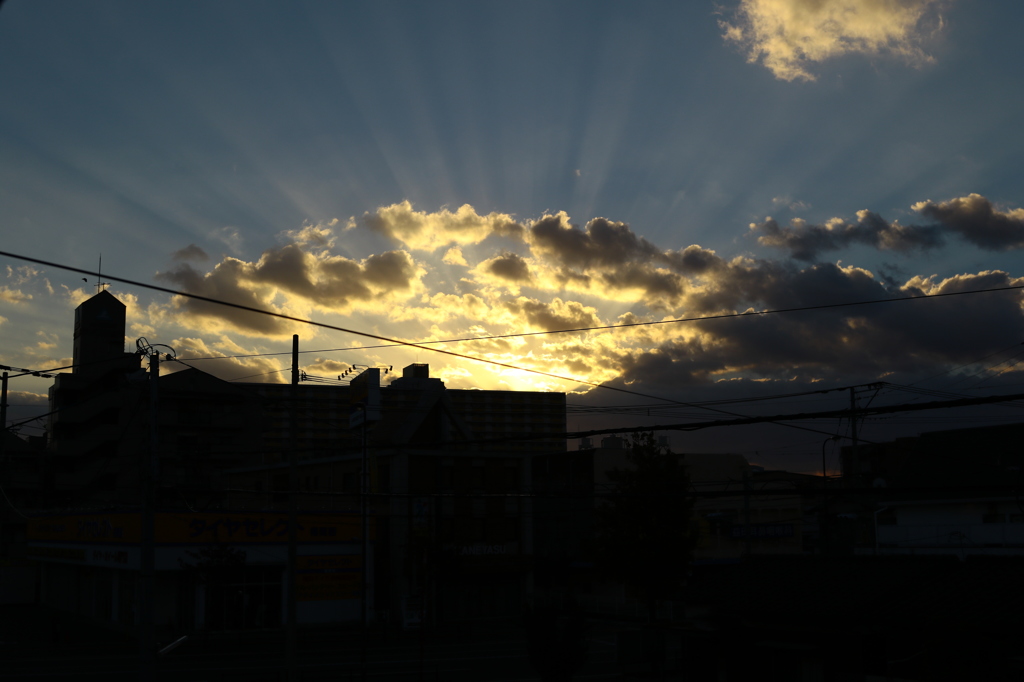 朝日  今日もがんばろっ！