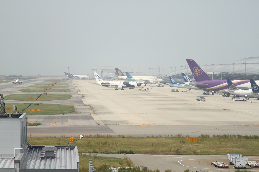 ぱんだじぇっと