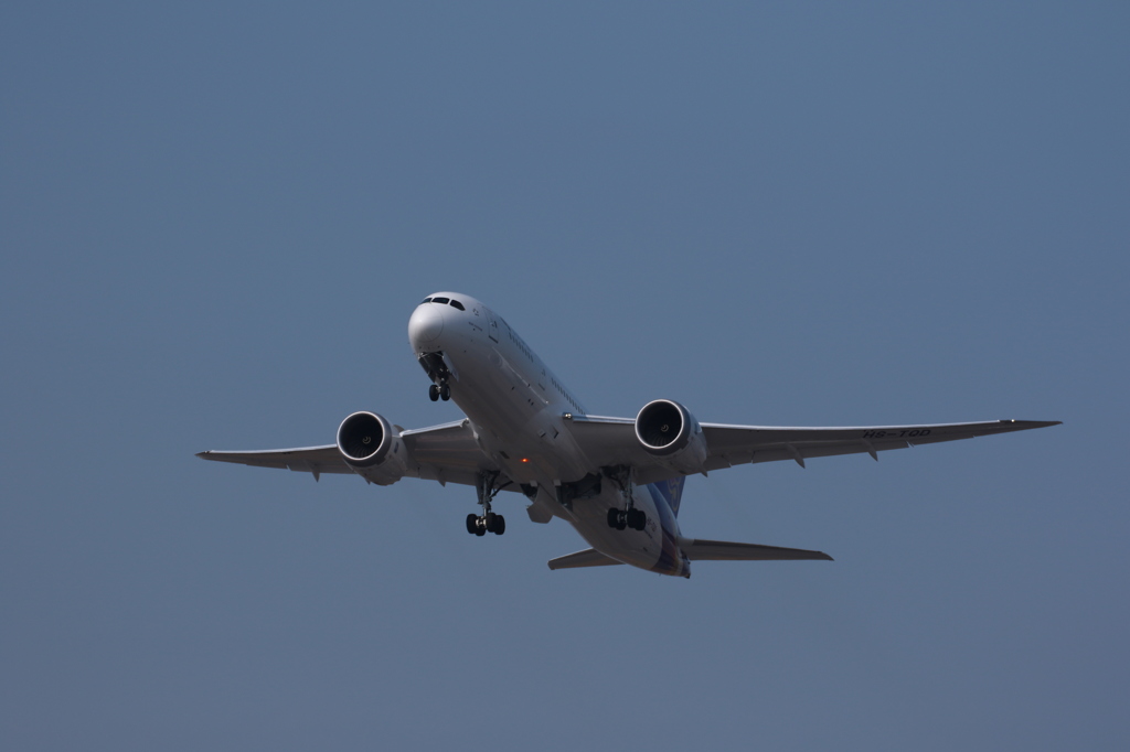 タイ航空 ７８７