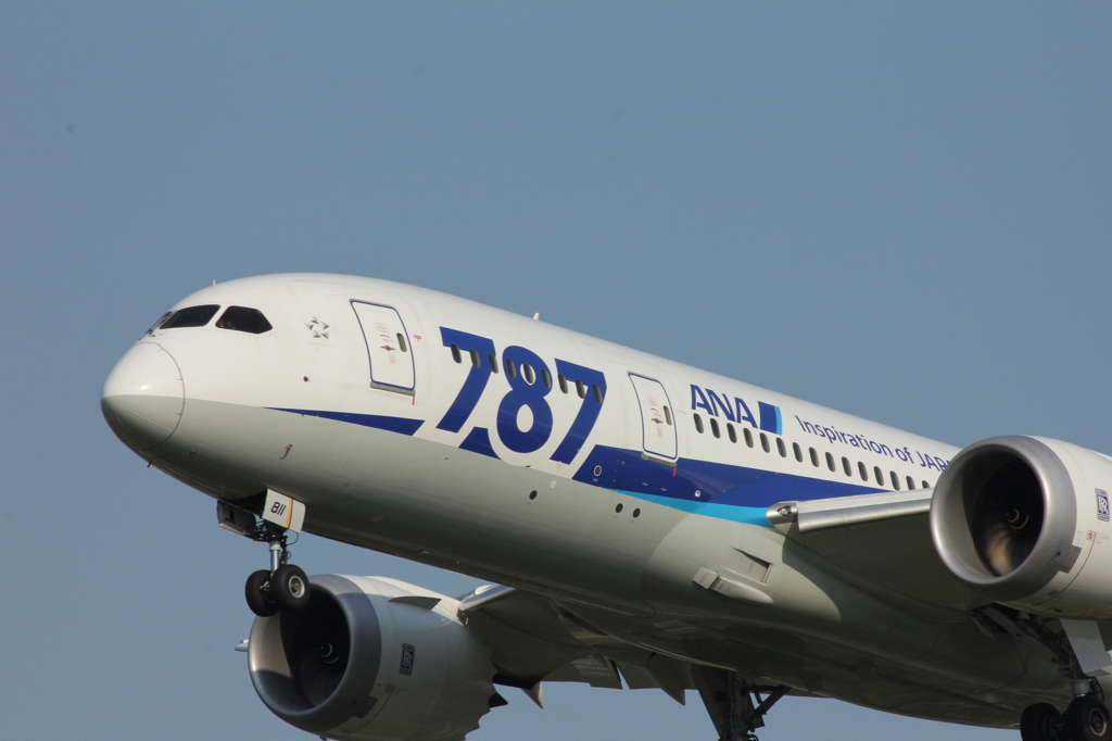 787