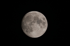 ピント甘ちゃん・・・ みらくるむーん