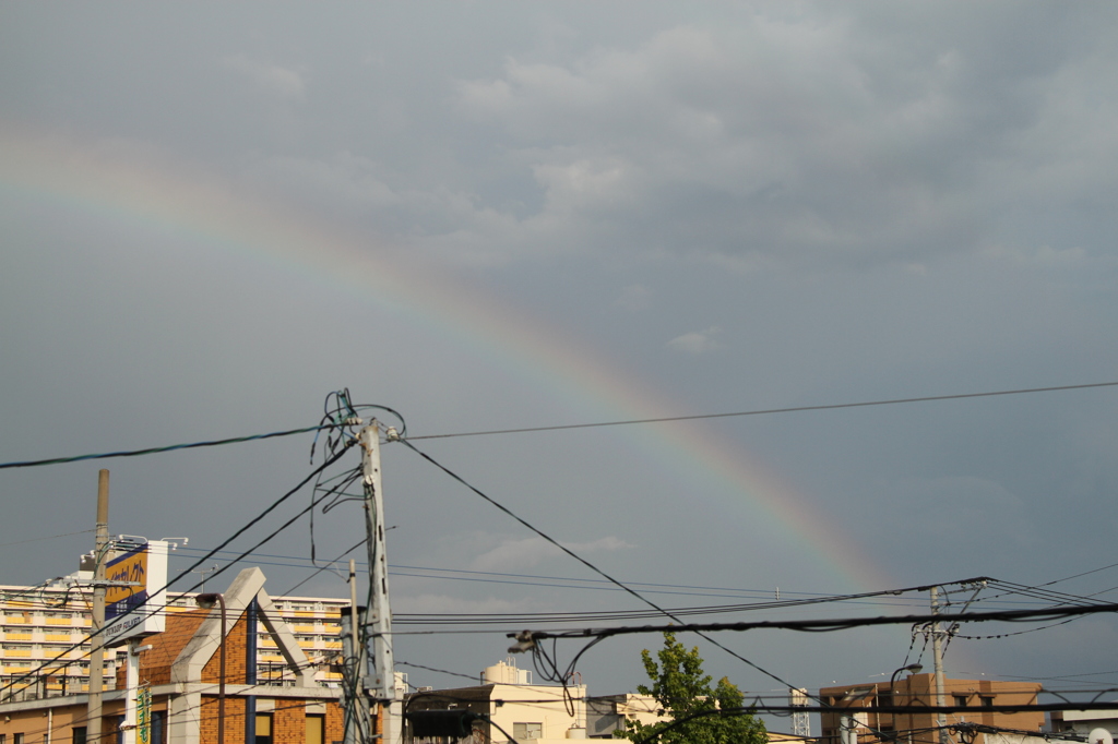 虹だ～！！！
