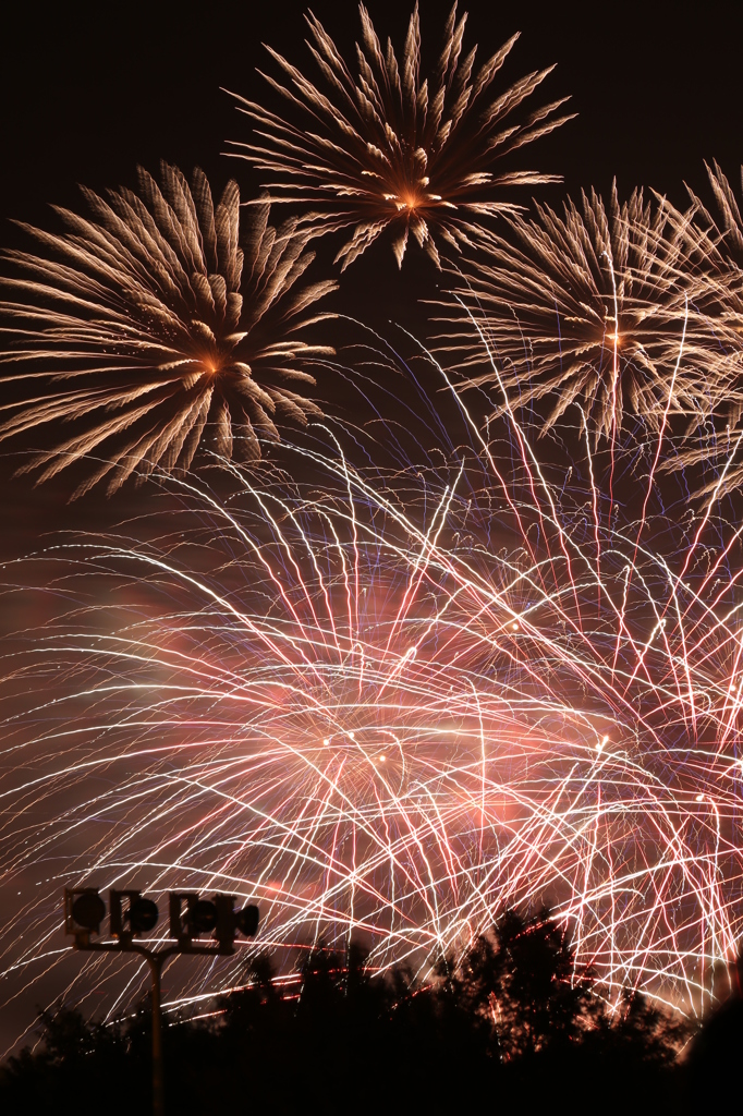 hanabi