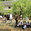 夏の風