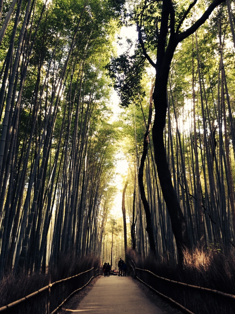 竹林