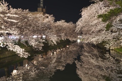 春の輝き