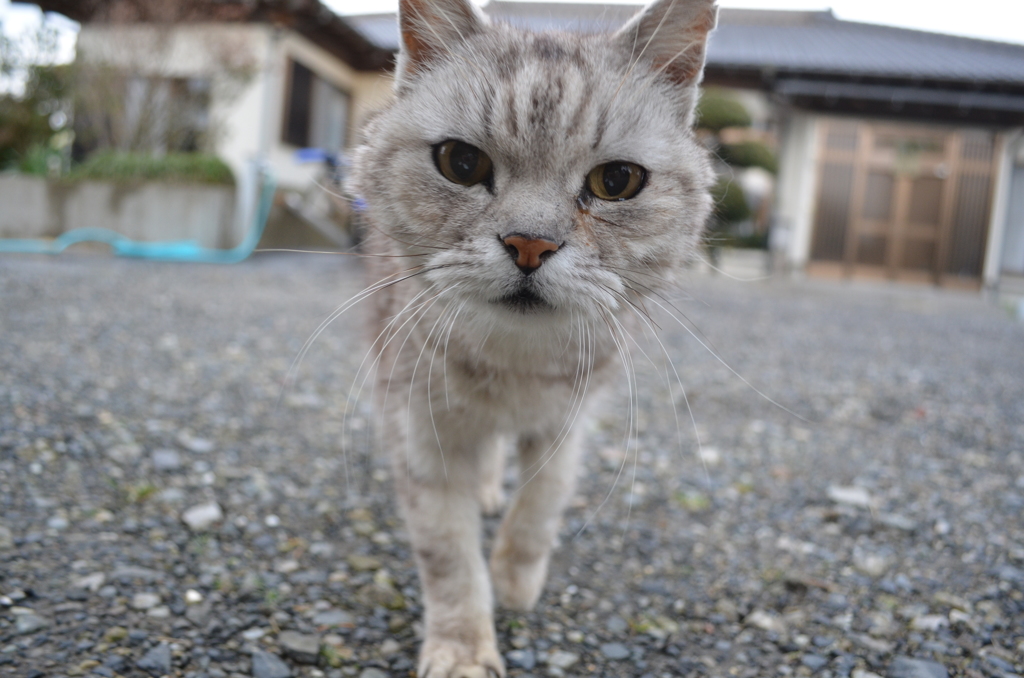 どアップ
