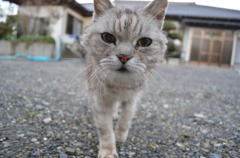 どアップ